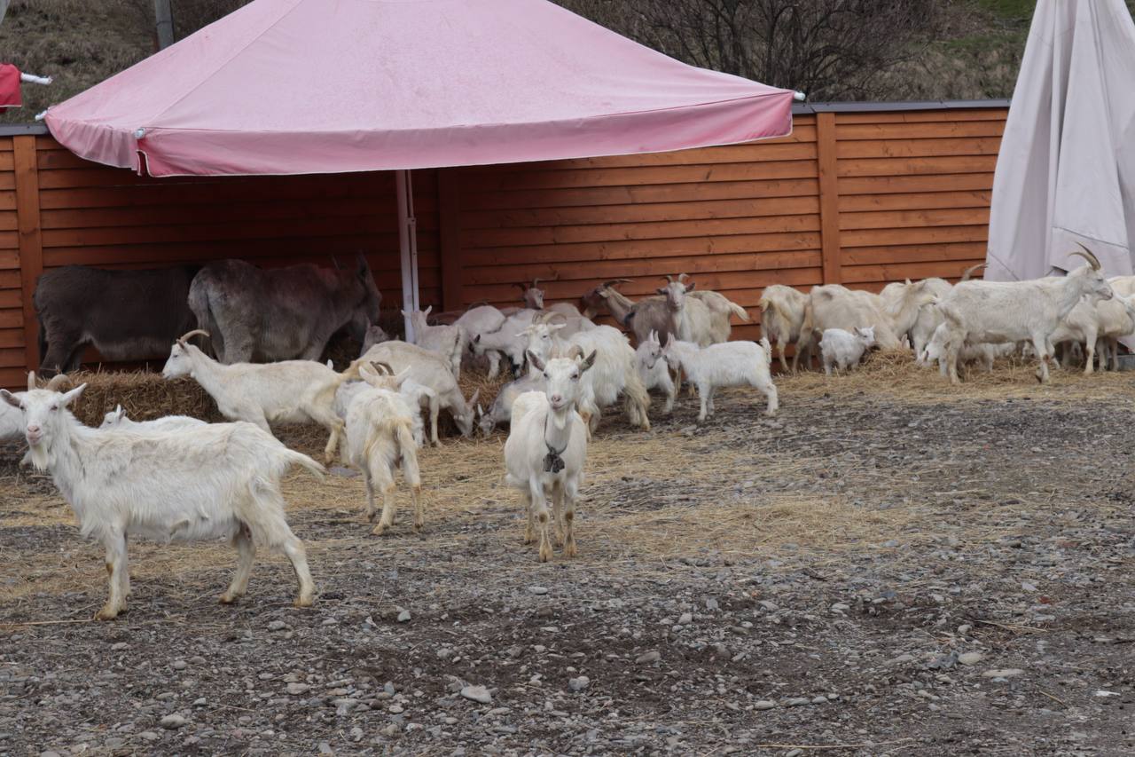Гастро-тур «КВАСИ-НАПОВНЮЙСЯ»