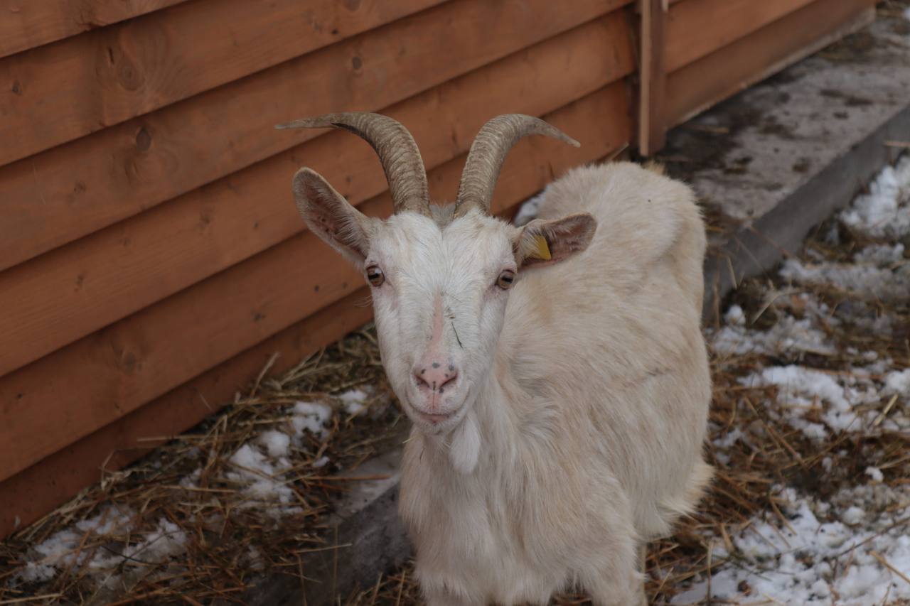 Гастро-тур «КВАСИ-НАПОВНЮЙСЯ»