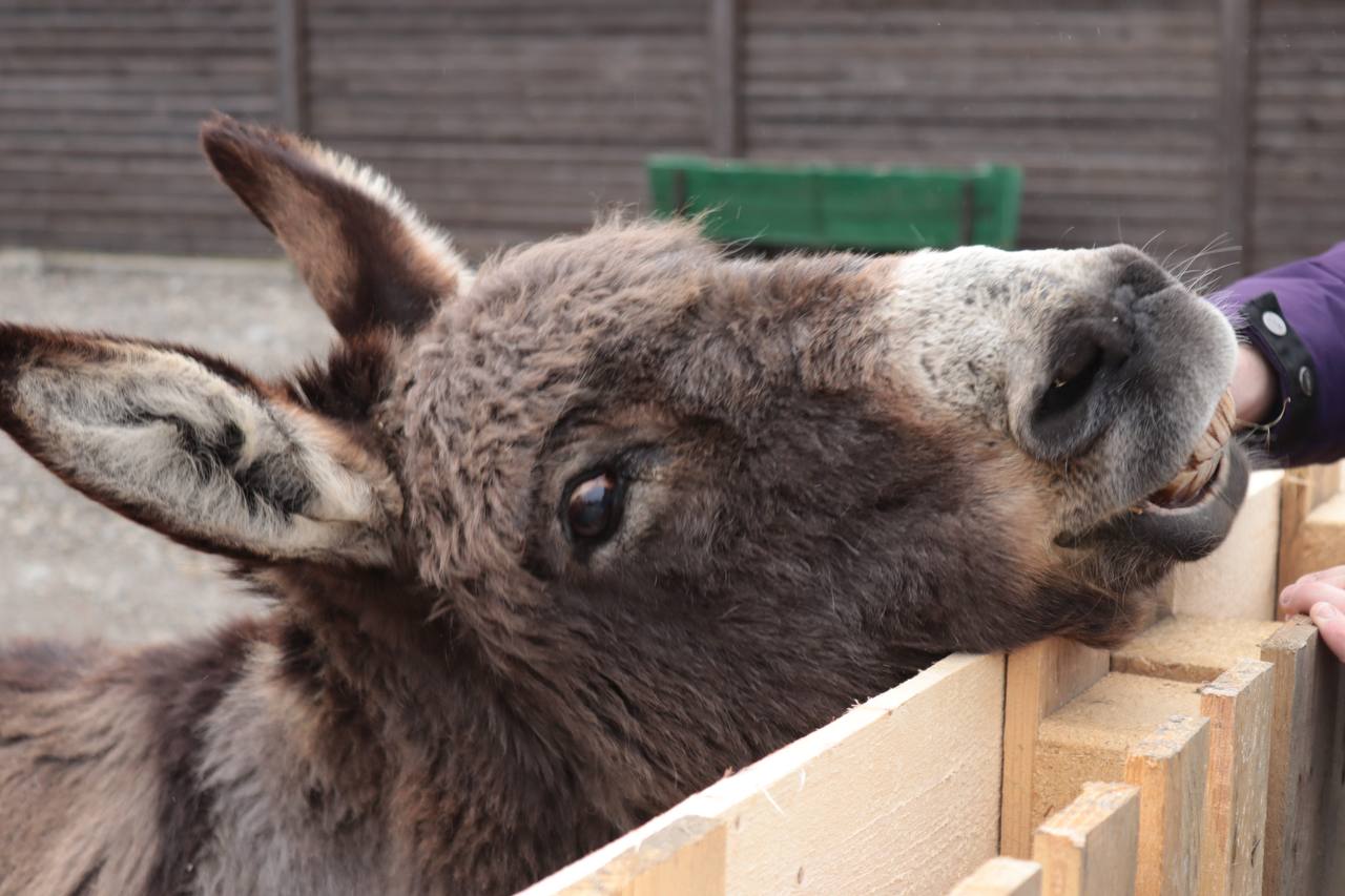 Гастро-тур «КВАСИ-НАПОВНЮЙСЯ»