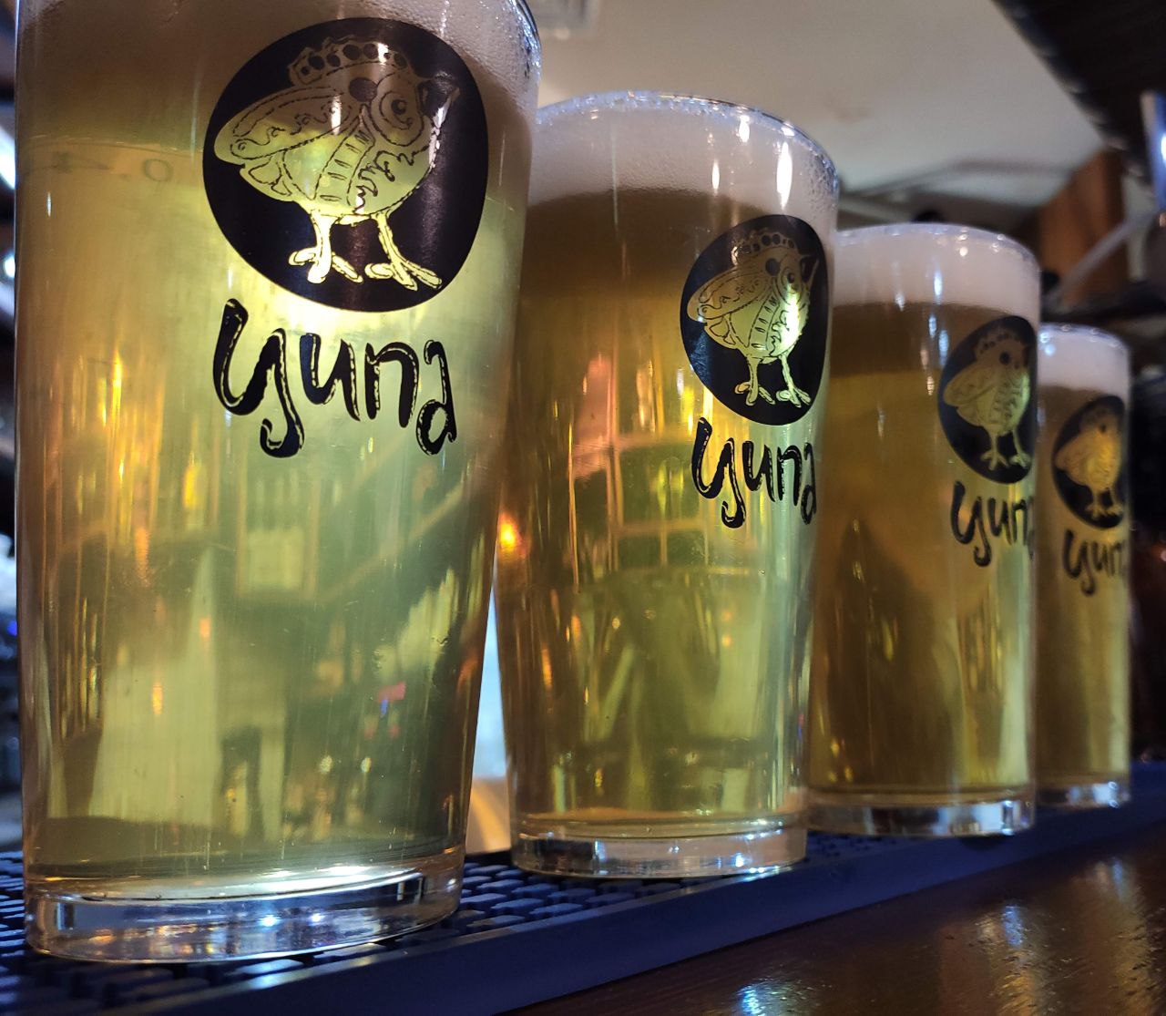 Гастро-тур «КВАСИ-НАПОВНЮЙСЯ»